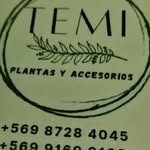 Mirta Leon Estay - @plantastemi - Instagram