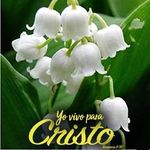 Mirta Armesto Madera - @armestomadera - Instagram