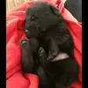mirtamarquez579 - @mirtamarquez579 - TikTok