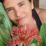 Mirta Meneses - Facebook