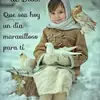 mirtaluciameneses - @mirtaluciamenesestorres - TikTok