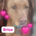 Mirta Ortiz - @mirta.ortiz.752861 - Instagram