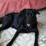 Mirta Padilla - Facebook