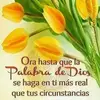 Mirta Padilla - @mirtapadilla2 - TikTok