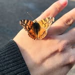 Mirta Reyes - @mirta.reyes1289 - Instagram