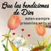Mirta reyes - @72mirta - TikTok