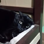 Mirta Isabel Robles - @mirtarobles57 - Instagram