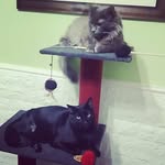 Mirta Robles - @mirta.robles.92 - Instagram