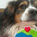 Mirta Rosas - Facebook
