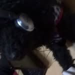 Mirta Santos - @mirtamoro - Instagram