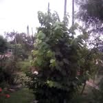 Mirta Santos - @mirta.santos.967 - Instagram