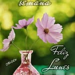 Mirta Suarez - @mirtasuarez353 - Instagram