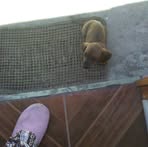 Mirta Valverde - Facebook