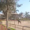 Mirta vasquez - @mirta.vsquez.idro - TikTok