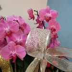 Mirta Vasquez Llanos - @laboutiquedeflores - Instagram