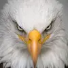 mirtes silva - @mirtes.silva8 - TikTok