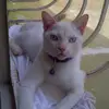 Mirtha Andrade330 - @mirthaandrade330 - TikTok