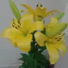 Mirtha Andrade - @mirthaandrade1 - TikTok