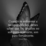Mirtha Andrade Moreno - @mirthaandrademoreno - Instagram