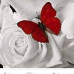 Mirtha Barreto - Facebook