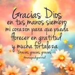 Mirtha Barreto - @mirthabarreto20 - Instagram