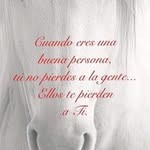 Mirtha Cardenas - @elena_mirtha4 - Instagram