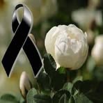 Mirtha Cardenas Rocha - Facebook