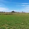 mirthadelcarpio - @mirthadelcarpio - TikTok