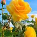 Mirtha Fernandez - Facebook