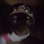 Mirtha Garza - @josie62407 - Instagram
