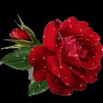 Mirtha Hernandez - @mirthahernandez194 - Instagram