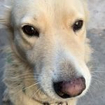 Mirtha Maldonado - @mirtha.maldonado.712 - Instagram