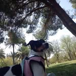 Mirtha Martinez - @mirtha_martinez_fer - Instagram