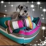 Mirza Farias Barrera - @barreramirzafarias - Instagram