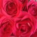 Mirza Rahman - Facebook