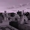ele/ela - @misamaistriste_ - TikTok