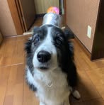 Misa Nishimura - Facebook