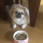 Misa Nishimura - @misa3405 - Instagram