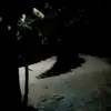 misaelascencio - @user1517430878682 - TikTok