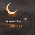 Misael Chavez - @misael.chavez.526 - Instagram