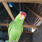 Misael Gutierrez - Facebook