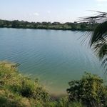Misael Gutierrez - @misael_gutierrez - Instagram