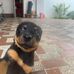 Misael Lerma - Facebook