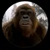 Misael Pintos - @misaelpintos395 - TikTok