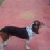 Misael Serrano - Facebook