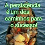misael venceslau goveia - @misaelvenceslau - Instagram