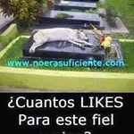 wilson misael reyes garcia - @wilsonmisaelre - Instagram