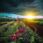 Misbah Iqbal - @misbah255 - Instagram