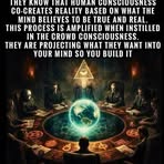 Misha Falzone - Facebook