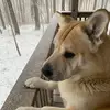 Misha Lee - @mishalee72 - TikTok